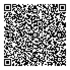 Digital Web QR Card