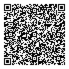 Norstar Consulting QR Card