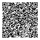 Raysolar QR Card