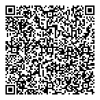 Dillon Consulting Ltd QR Card