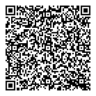 Baldur Gazette QR Card