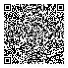 Mnp LLP QR Card