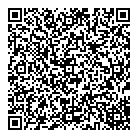 Rcb Line Painting QR Card