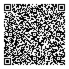 Bingham K Dvm QR Card