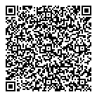 D  D Electronics QR Card