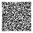 Ace Solutions QR Card