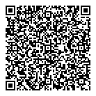 Nazca Consulting QR Card