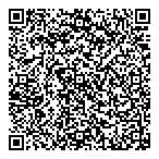 G N Lustig Consulting Ltd QR Card