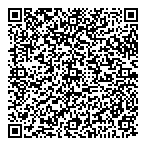 Stepforth Web Marketing Inc QR Card