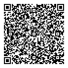 Realm Of Toys QR Card