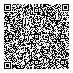 Laser Star Monitoring Ltd QR Card