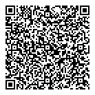 Mnp LLP QR Card