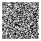 Damascus Food Market Ltd QR Card