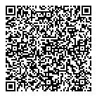 Aurora Photography QR Card