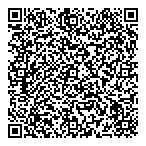 Sante Consulting Ltd QR Card