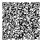 Dsc Consulting QR Card