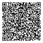 Team Foundation Systems Ltd QR Card