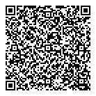 A1 Limo QR Card