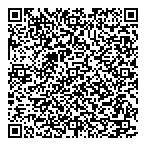 Stc Consulting Services QR Card