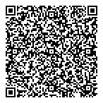 Laser Star Monitoring Ltd QR Card