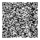 Dns Inc QR Card