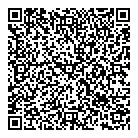 Small Town Styles QR Card