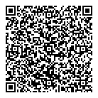 T M's Auto Sales QR Card