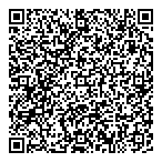 Bsc Business Systems Consult QR Card