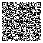 Arctic Ice Limousine QR Card