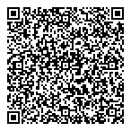 Accsys Solutions Inc QR Card