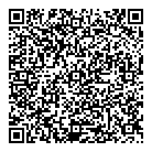 Nees Consulting QR Card
