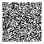 Northern Lights Palace QR Card