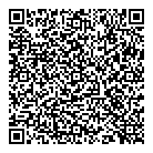 Sgi Salvage QR Card