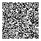 Dynamo Electric QR Card