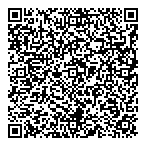 Manual Accounting Systems QR Card
