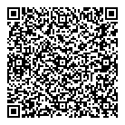 Mnp LLP QR Card