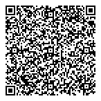 Bdm It Solutions Inc QR Card