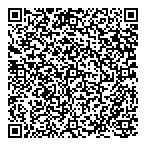 Sabtronic Systems Inc QR Card