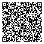 Mountainview Systems Ltd QR Card