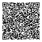 Rapicon Inc QR Card