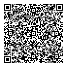 V Strategies Inc QR Card