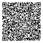 Northstar Project Solutions QR Card