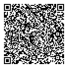 Professionail QR Card