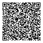 Megatrain Inc QR Card