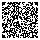 Domino's QR Card