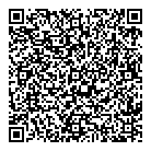 Best Buy Mobile QR Card