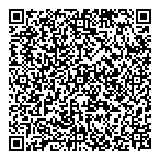 Vispol Projects Ltd QR Card