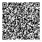 Domino's QR Card