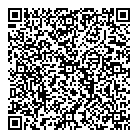 Salim Allibhai Pc QR Card