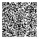 Spy City QR Card